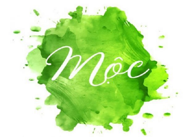 Mệnh Mộc hợp đá gì